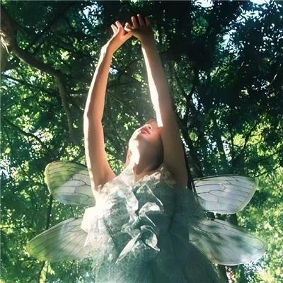 杜宾专员：白色毒药